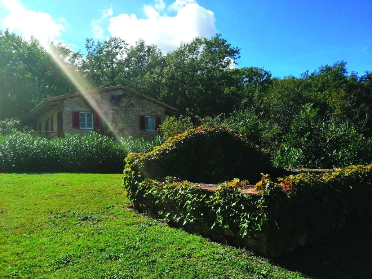 مانشانو Il Daino Bianco Country Hotel المظهر الخارجي الصورة